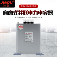 BSMJ0.45-25-3 户外电容器 补偿电容器 自愈式并联电力电容器