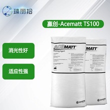 赢创二氧化硅消光粉Evonik ACEMATT TS100 水性气相法哑光剂水性