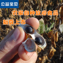 优品大别山新货农家自产黑豆绿心大黑豆黑豆绿芯生黑豆杂粮可打粉