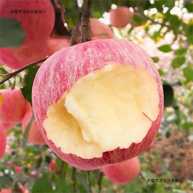 脆甜红富士苹果栖霞山东烟台多汁新鲜红富士水果应季2/3/5斤当季