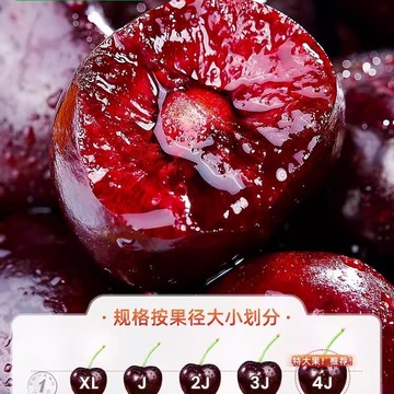 智利大樱桃新鲜当季水果国产车厘子现摘jjjj级整箱大果礼盒批发