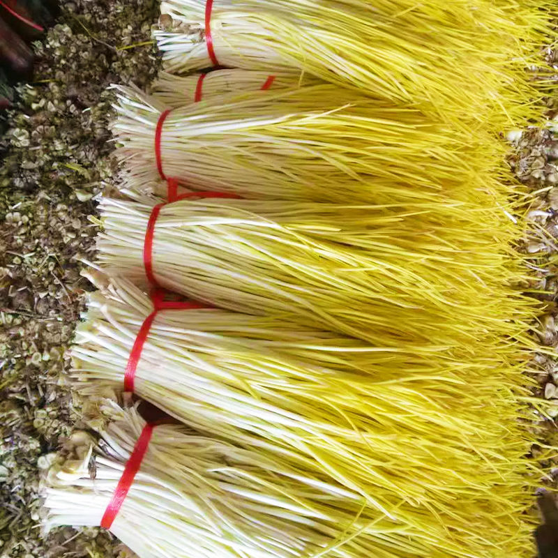 酸菜批发山东蒜黄新鲜批发价时令青菜蔬菜蒜苗大蒜幼苗农家菜现割