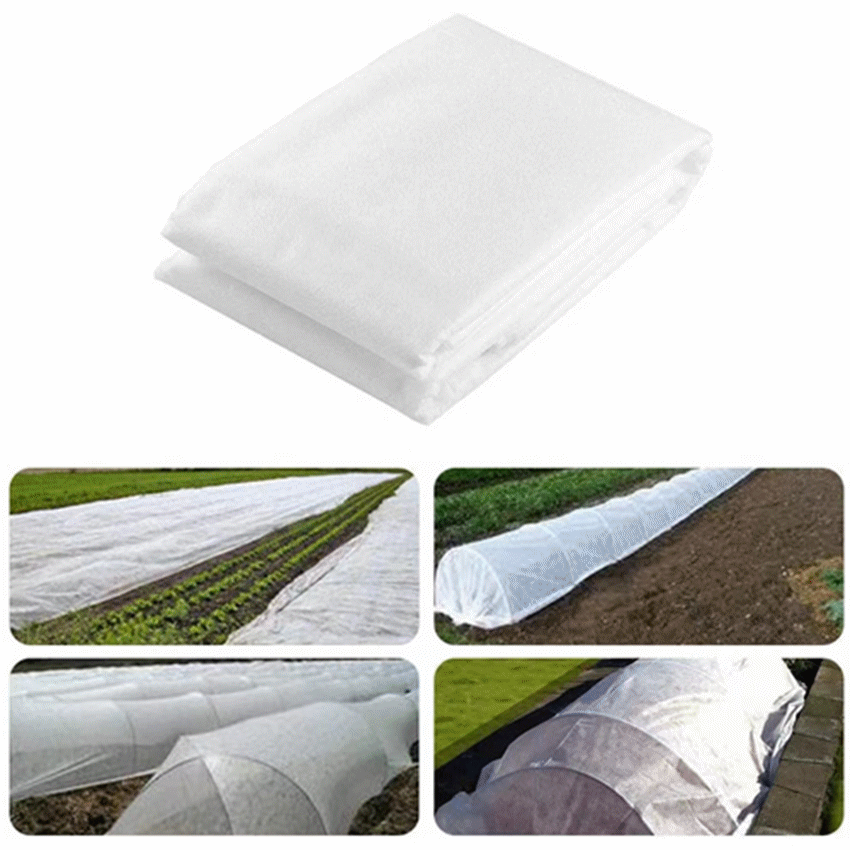 植物防冻布保护罩 植物盖无纺布片材 植物防寒覆盖布
