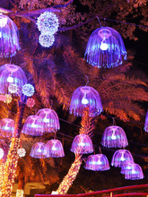 七彩变色水母灯led光纤闪灯户外防水树木亮化挂树上节日氛围装饰