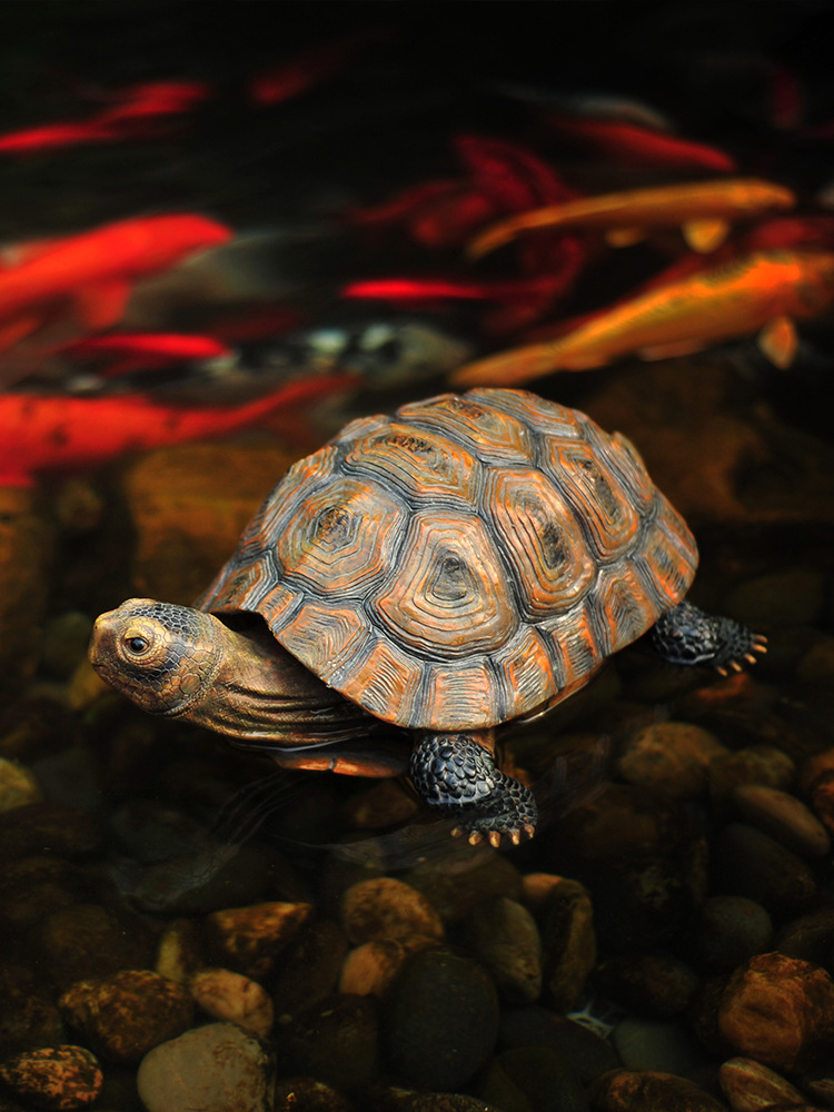 4成交9件江西源头厂家庭院广场水池底石片花园加工石材设计破损补寄