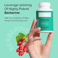 黄连素胶囊Berberine capsules外贸供应/跨进供应