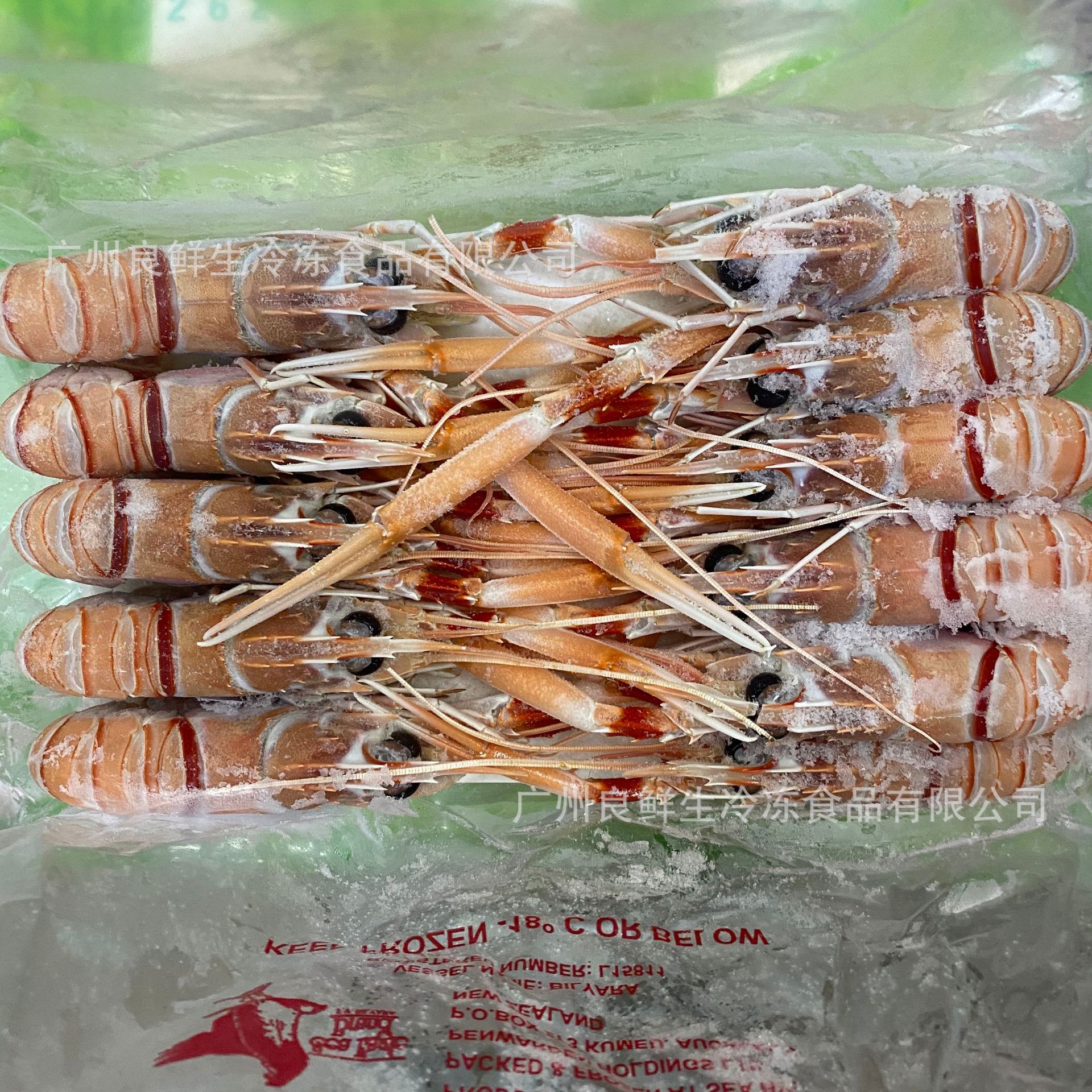 新西兰鳌虾scampi 2号鳌虾斯干比小龙虾 南极深海捕捞2号2kg/盒