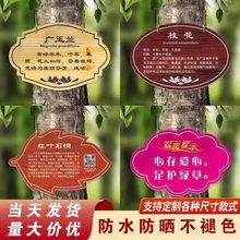 亚克力树牌花草植物绿化标识标志牌公园树木介绍果树名称挂牌铭牌