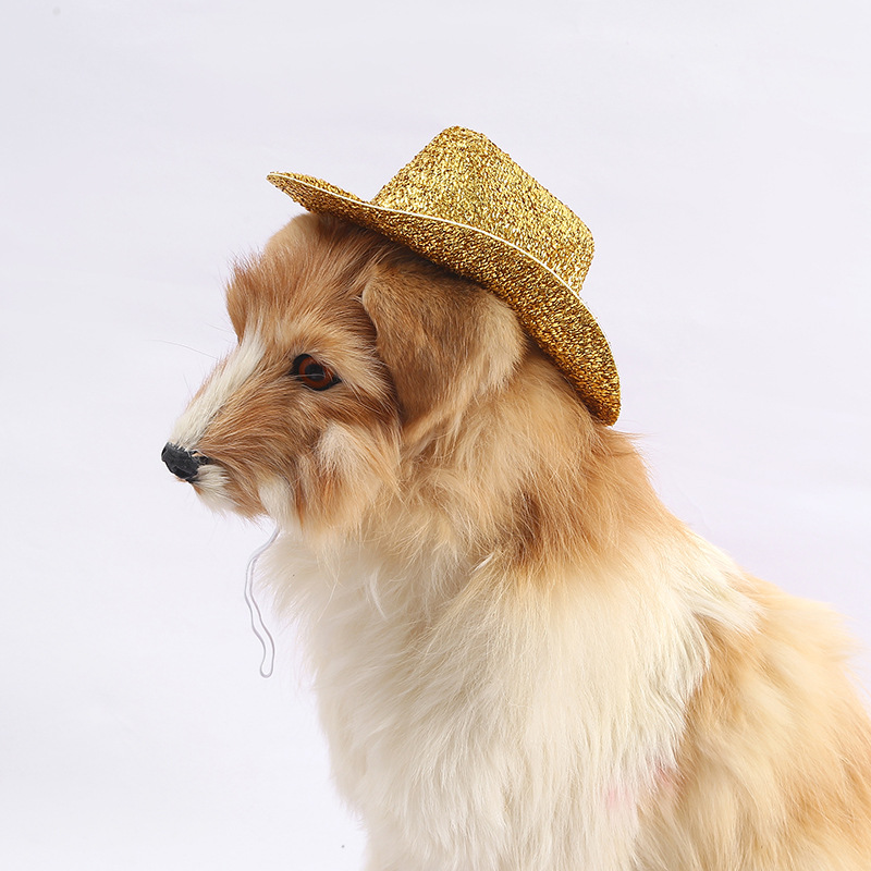 Cross-Border Mini Pet Cowboy Hat European and American Dog Western Cowboy Hat Colorful Pet Decorative Hat Wholesale