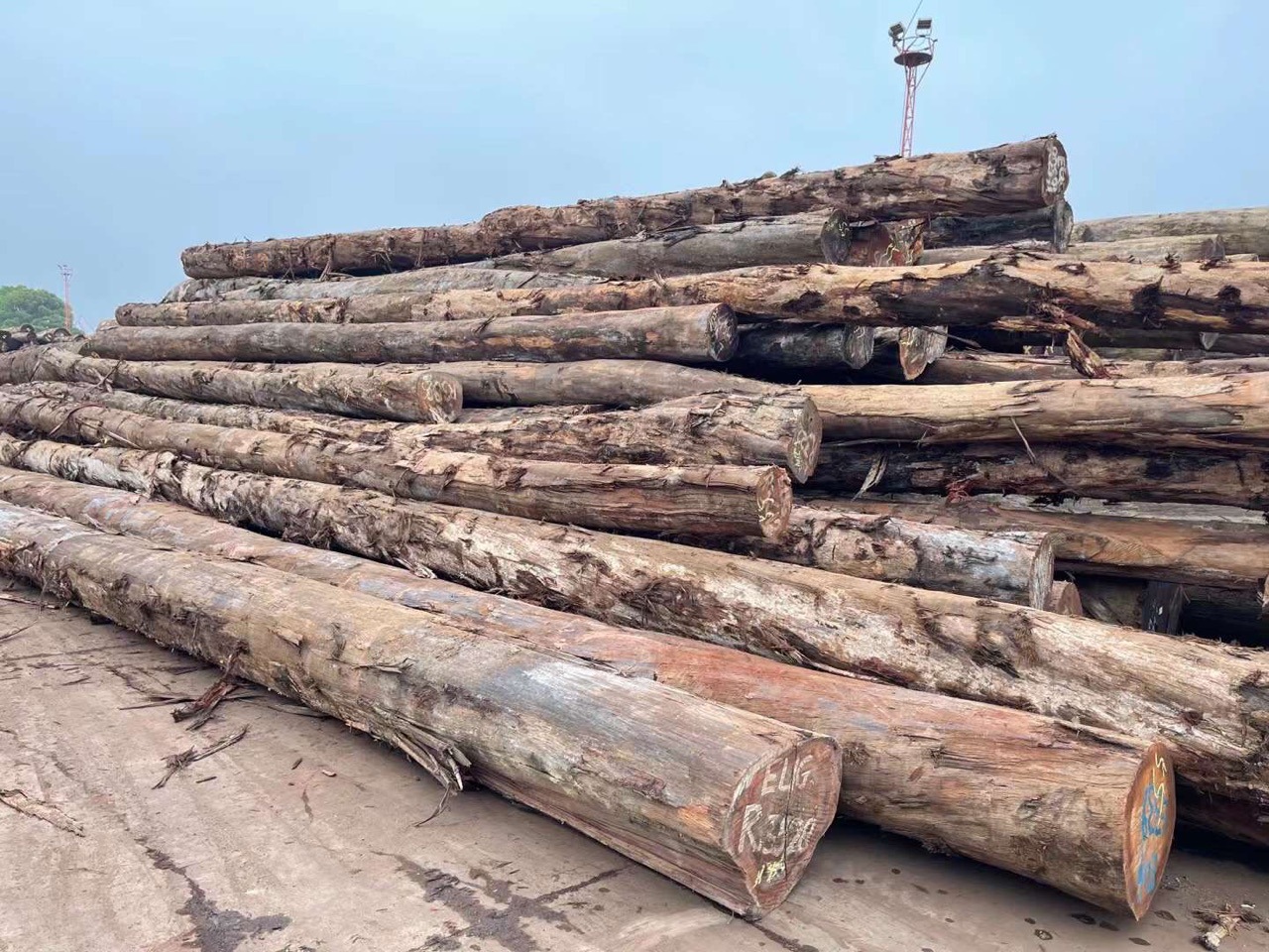 eug水胶木材所罗门水胶木柱子木料 水胶原木木材 水胶木板材
