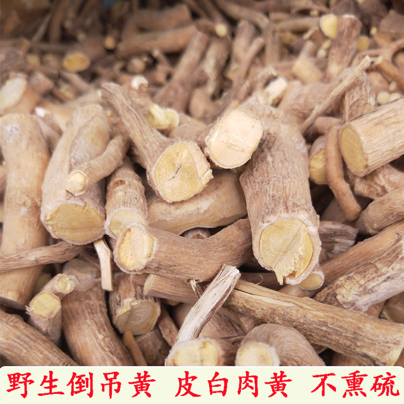 黄花倒水莲中药材 黄花参根倒吊黄观音串黄花远志500克月子茶煲汤