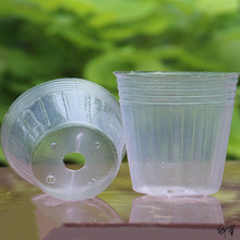 蝴蝶兰营养钵鲜花营养种植播种杯育苗加厚透明塑料一次性花盆