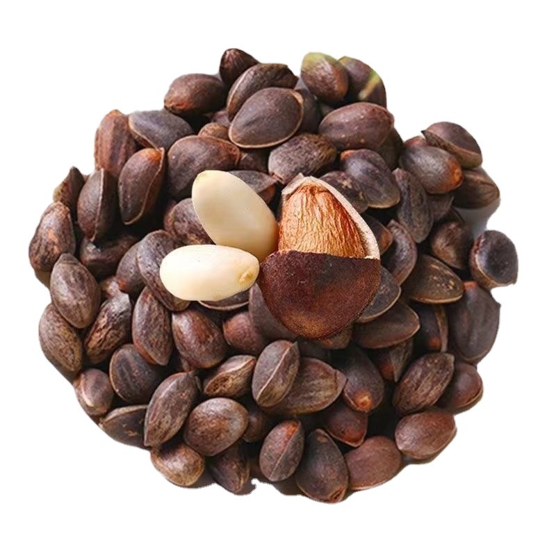 混合坚果云南野生松子大颗粒特级新鲜生落水松无添加薄皮薄壳原味