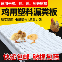 鸡鸭鹅塑料漏粪板PP聚丙烯材质高床式养殖漏屎地板鸡鸭鹅床网格板
