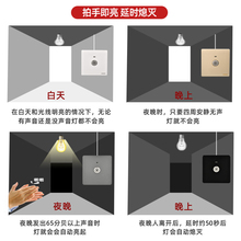 LY86大功率暗装声光控延时开关面板楼过道物业光控声控感应开关le