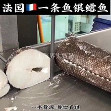 法国银鳕鱼SAPMER一条鱼整条鳕鱼南极犬牙鱼西餐厅香煎银鳕鱼烤