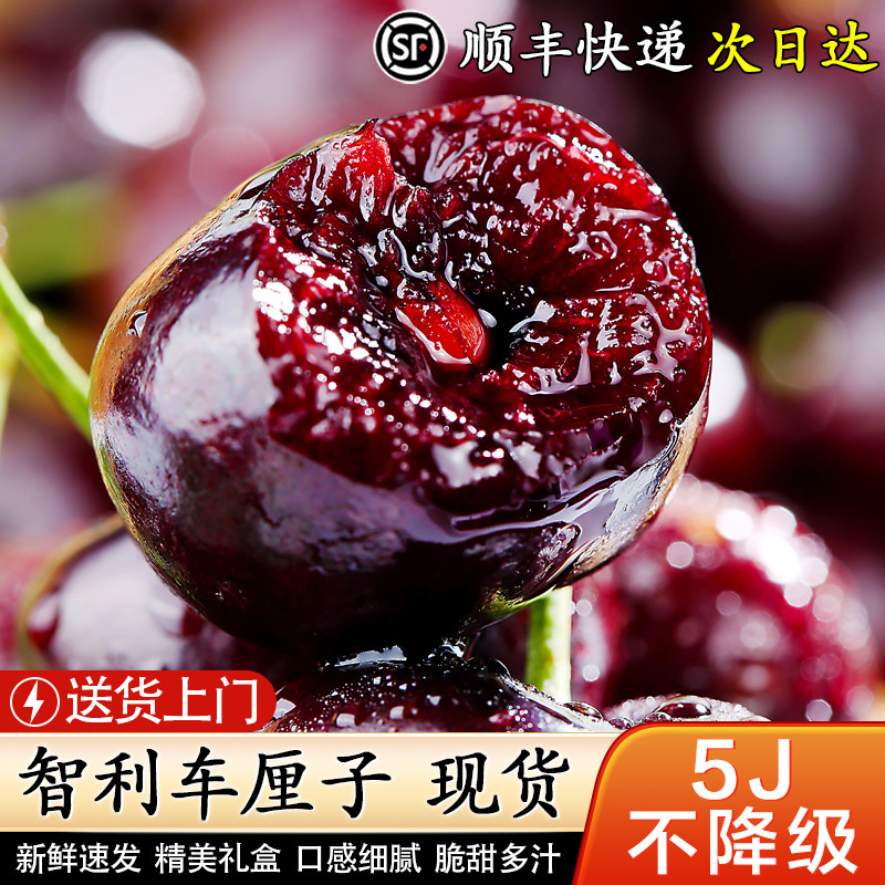 智利进口车厘子当季新鲜水果整箱大樱桃孕妇礼盒装5斤4j顺丰包邮