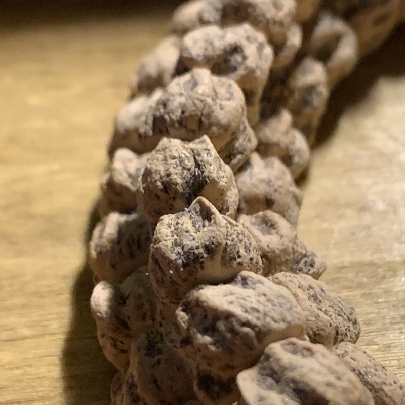 菩提子热振百香籽单串高桩顺纹108颗手串108百香籽深坑鬼脸猪菩提