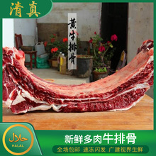 清真新鲜多肉牛排骨 鲜牛肉 牛仔骨 烧烤牛排整根或切块