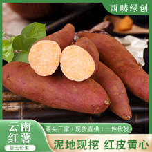 云南新鲜红薯5斤装 软糯香甜小蜜薯地瓜现挖现发农家红皮番薯批发