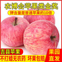 山西吉县壶口红富士苹果当季水果苹果精品脆甜冰糖心整箱新鲜大果
