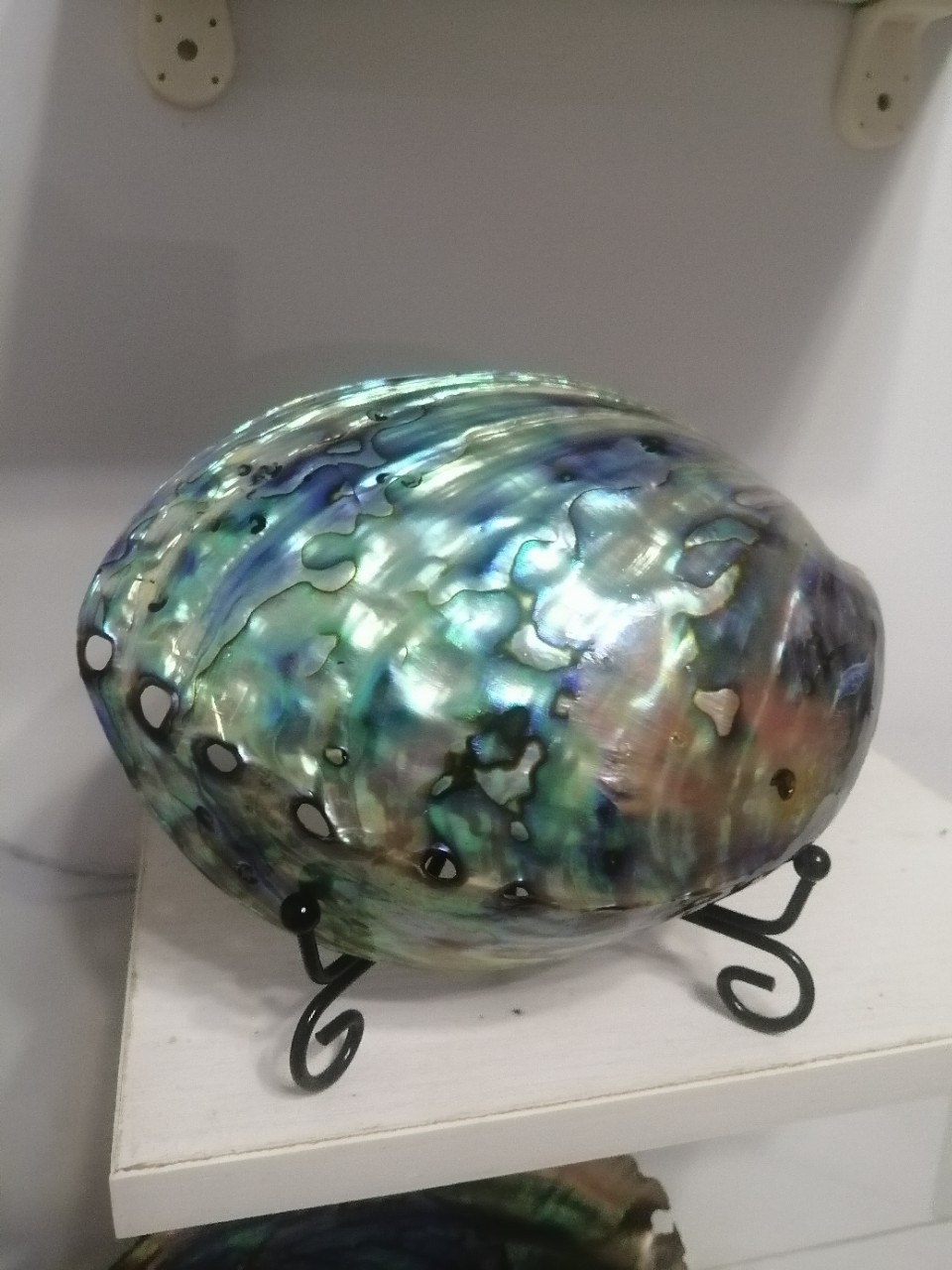 蓝绿鲍鱼贝壳创意家居饰品抛光海螺贝壳办公招财摆件装饰工艺礼品