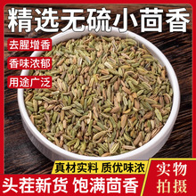 批发甘肃小茴香 散装茴香籽调料中药材香料卤料火锅底料烧烤调味