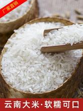 德宏芒市产遇见滇西云南大米5kg长粒新米贡米遮放稻花鱼田软米