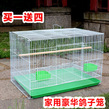 鸽子笼信鸽笼子家用鹌鹑鹧鸪户外用品用具大号大型配对鸟笼养殖笼