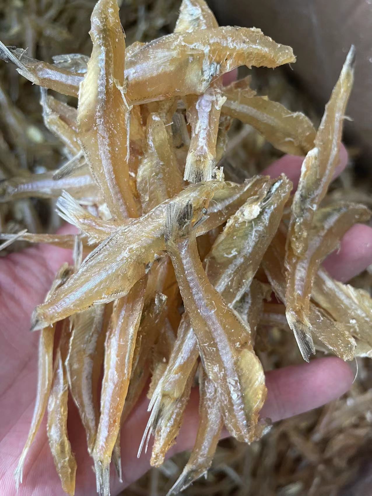 梅鱼干 海鲜海产干货白凡鱼干 小鱼干 咸鱼干海鱼干40斤-阿里巴巴