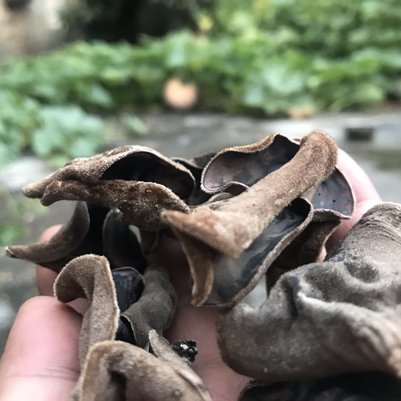 正宗湖南特产农家大木耳干货250g无根野生炎陵农家自晒毛木耳干货