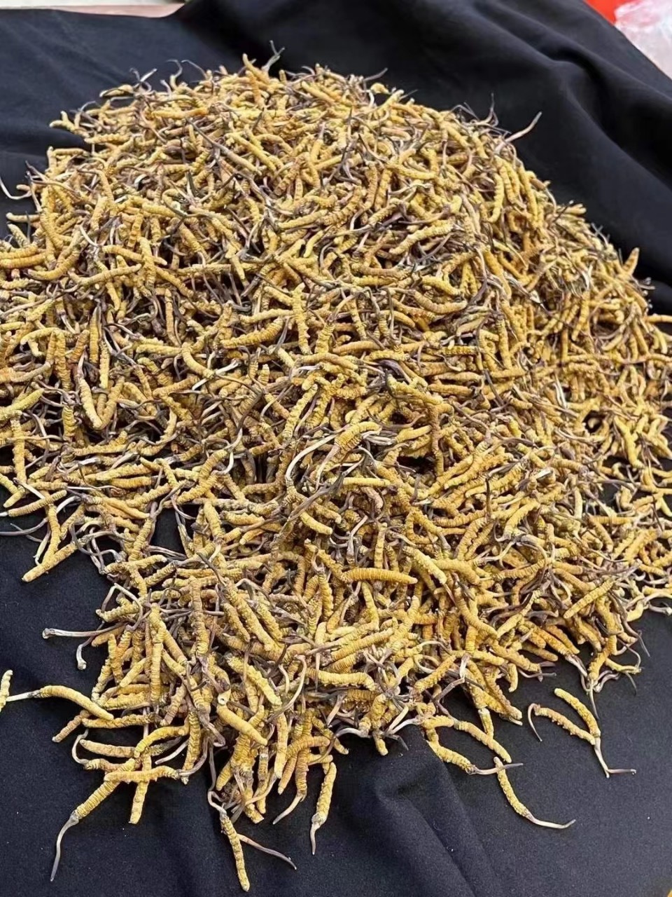 西藏那曲冬虫夏草4根1g 高海拔正品干虫草挑选断草土特产干货批发