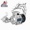 高压蒸汽清洗机用铸铜叶片泵VP-05 高压泵 水处理增压泵滑片泵