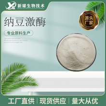 纳豆激酶20000FU 100克/袋   厂家直发  现货 纳豆发酵 纳豆提取