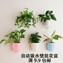 自动吸水懒人壁挂花盆 墙面墙上装饰吊兰绿萝植物创意花盆