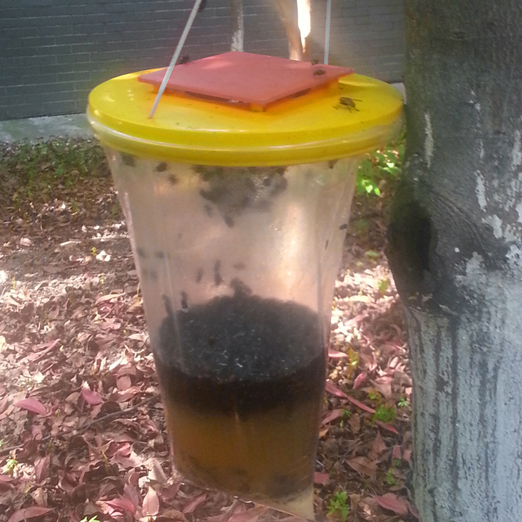 供应外贸跨境企业可以给外贸企业提供打印条码,打印箱唛,分包服务欢迎