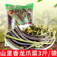 云南特产 即食蕨菜新鲜袋装3斤 腌制龙爪菜泡菜炒菜凉拌咸菜1500g