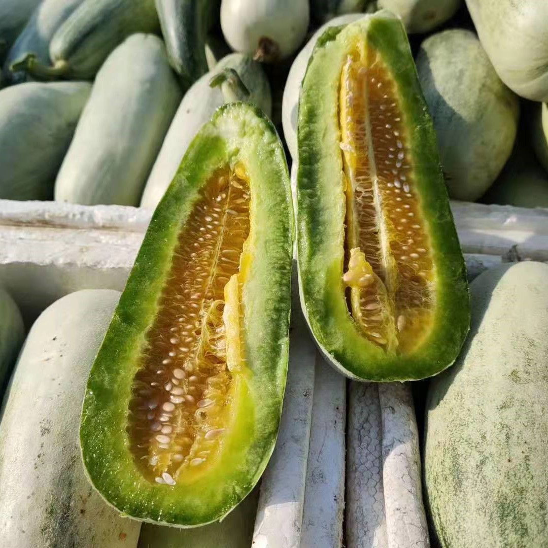 山东羊角蜜甜瓜