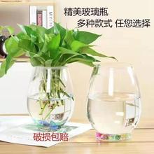玻璃透明水培花瓶厚水培植物花瓶水养绿萝花盆桌面