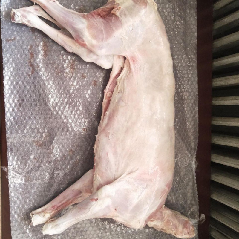 羔羊酮体新鲜全羊白条羊烤全羊整羊鲜羊肉羊排羊腿羊蝎子批发包邮