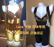 中脉LACA形体内衣模特 灯光模特内衣模特文胸灯模LED灯光展示内衣