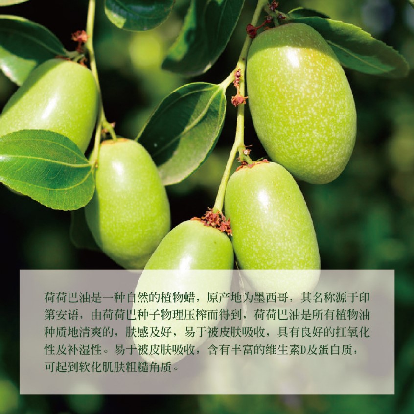 jojoba oil 去黑头卸妆按摩初榨金黄荷荷巴基础油 无色霍霍巴油