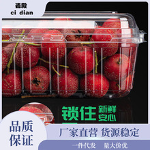 一次性水果盒塑料果蔬包装盒超市水果店一斤装草莓番茄打包 泷叻