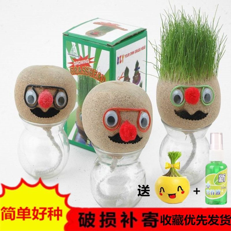 diy创意长草娃娃绿植盆栽办公室迷你绿色青草铜钱草小盆栽草头娃