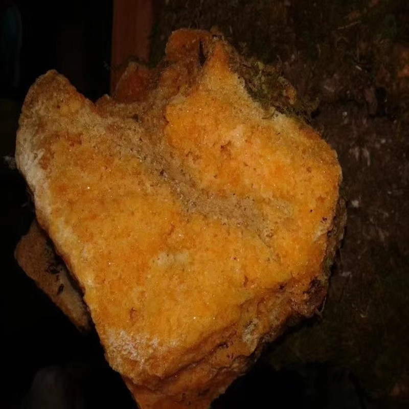 岩蜂蜜 蜂巢蜜50斤/块岩石蜂蜜批发送广告录音颜色规格可选