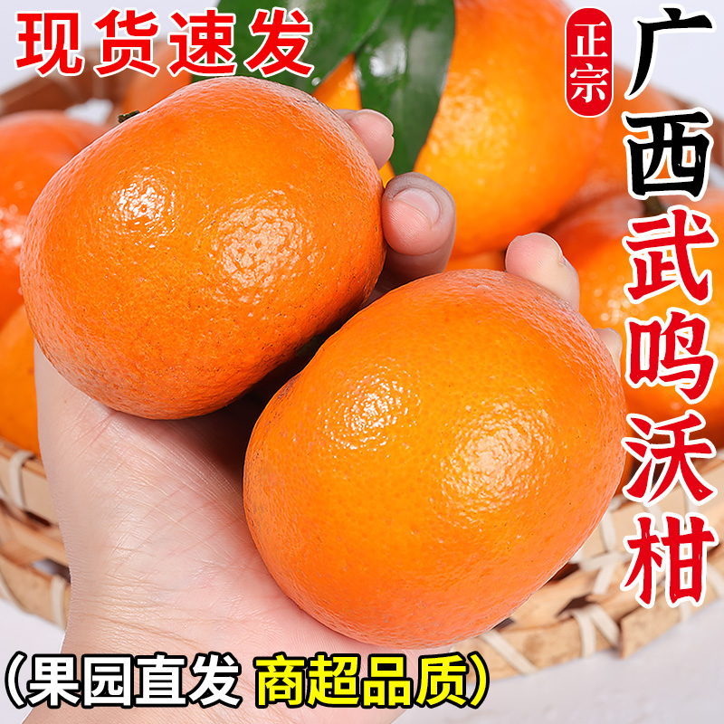 正宗广西武鸣沃柑新鲜橘子水果当季一级沙糖蜜橘砂糖柑橘大果整箱