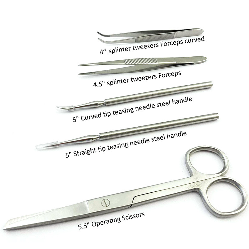 22 Pieces Biological Anatomy Tools Stainless Steel Scissor Needles Experimental Apparatus Tools Probe Scissors Tweezers Teaching Instrument Teaching