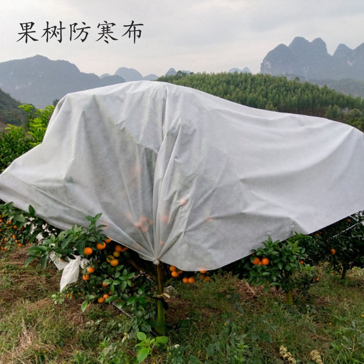 厂家供应 果树防寒布 保温防冻裹树布植物园林绿化包树布