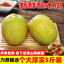云南木瓜1斤临沧酸木瓜 酸果子新鲜孕妇水果酸木瓜泡酒炖排骨批发