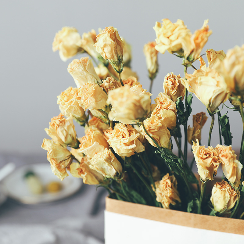 天然鲜花风干洋桔梗自然干花北欧风家居装饰拍照道具混搭鲜花束怀